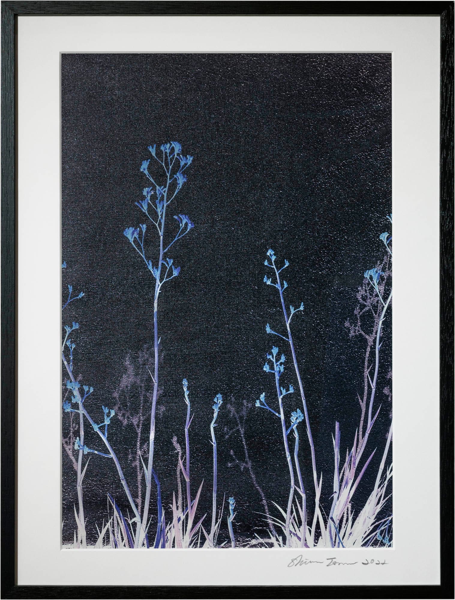 ジャックと豆の木 Jack and the beanstalk