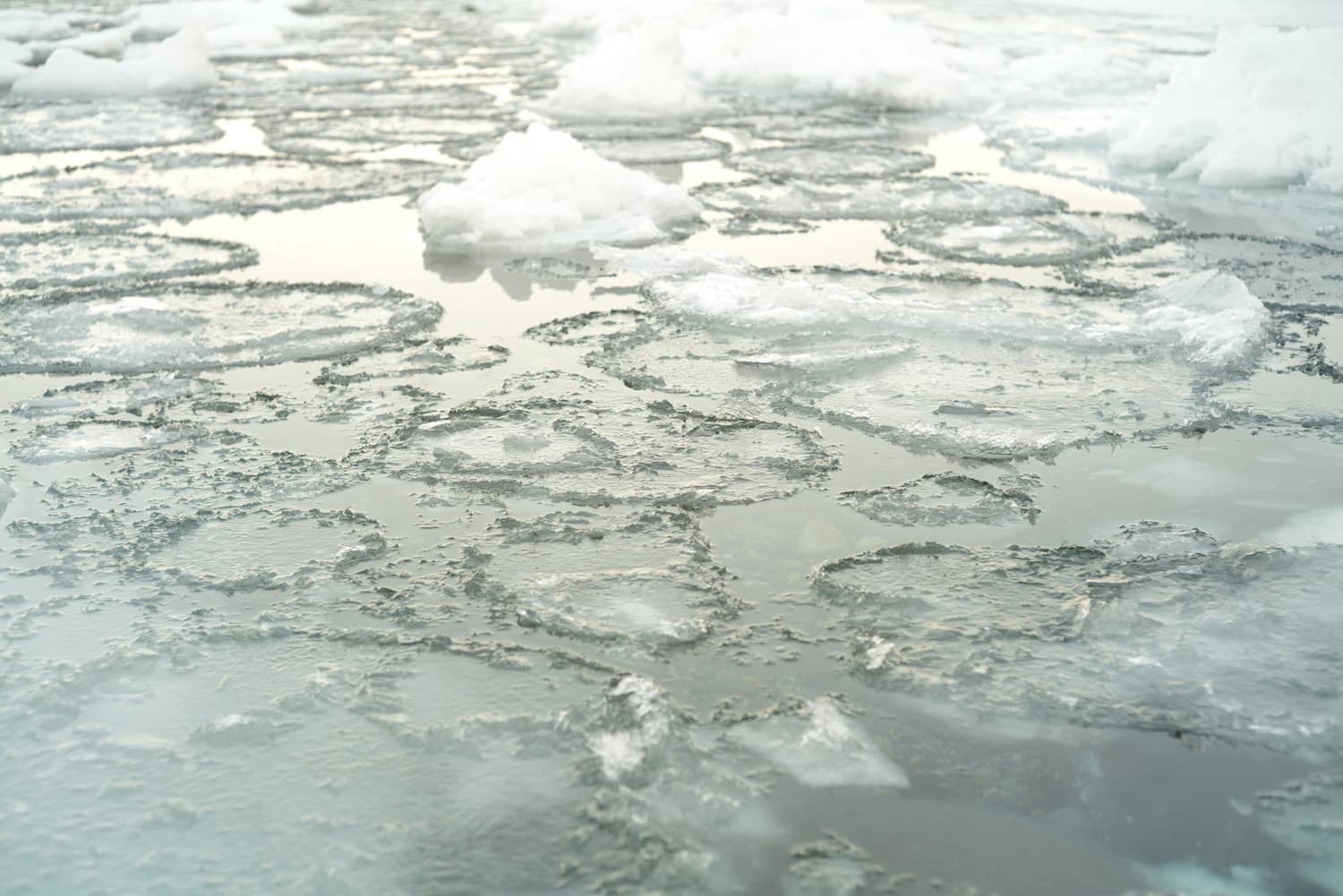 流氷