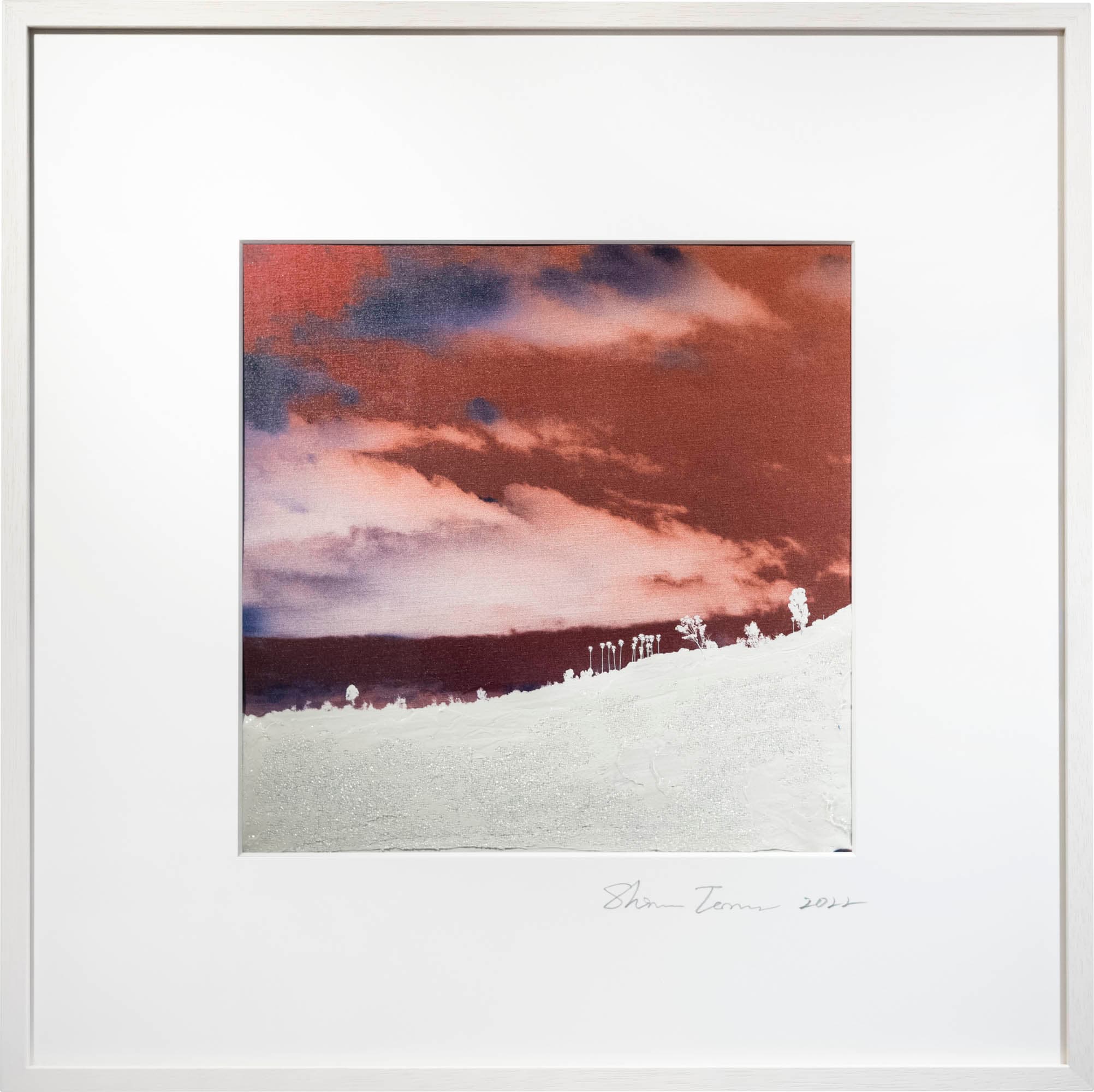 高台から見たHollywood